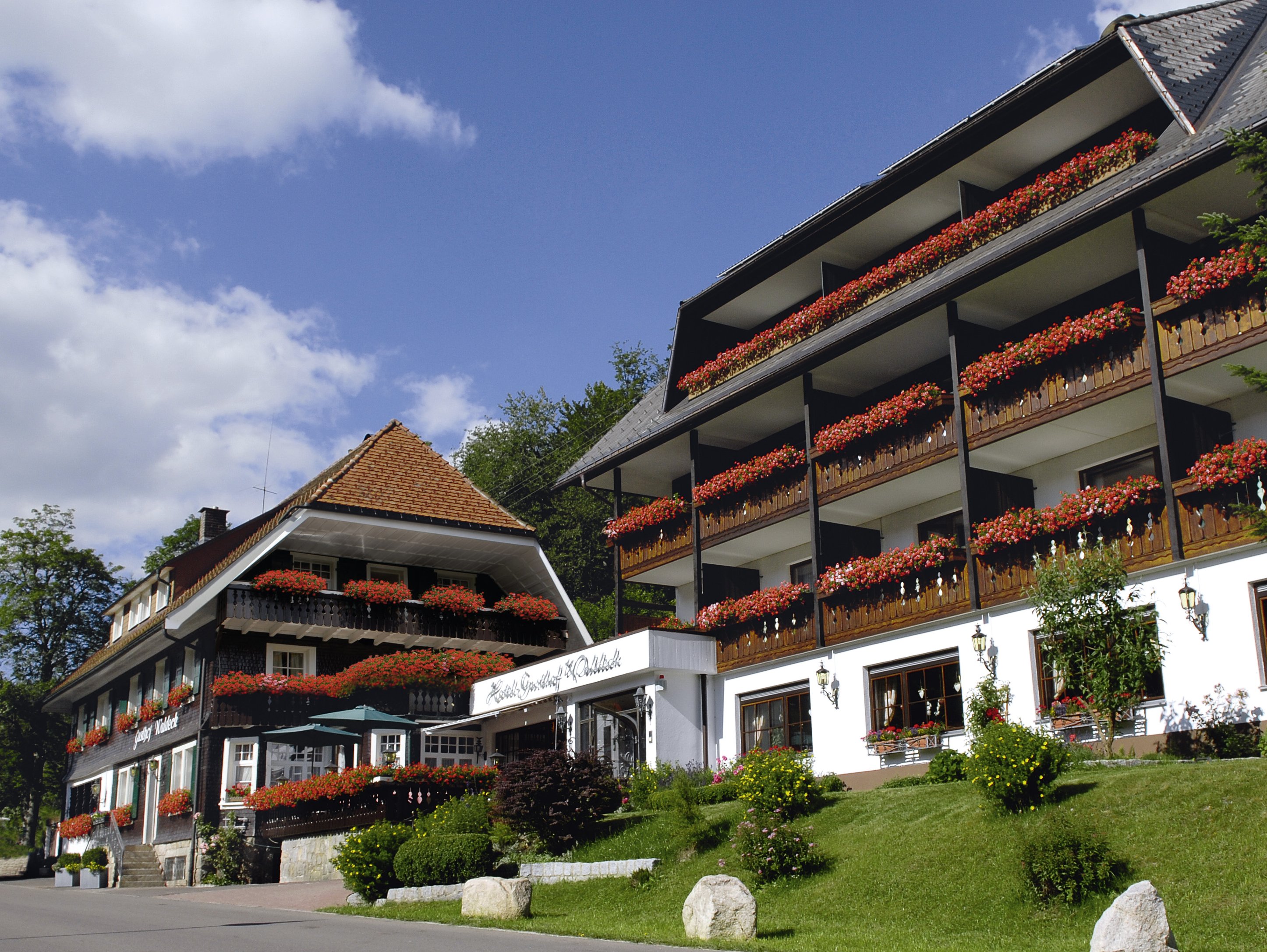  Hotel Waldeck Menzenschwand 