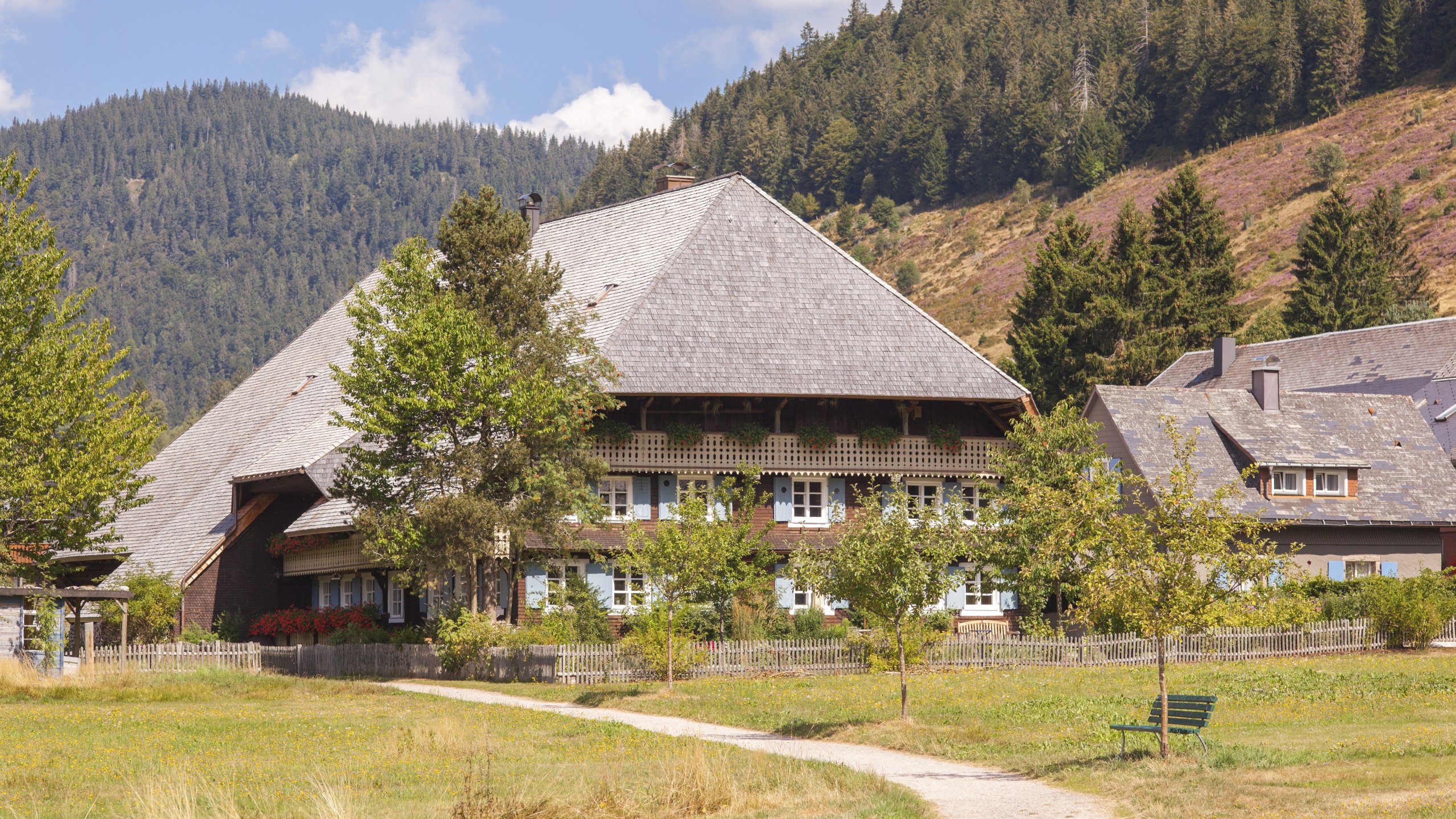  Bauernhaus in Menzenschwand Foto: Hochschwarzwald Tourismus GmbH 